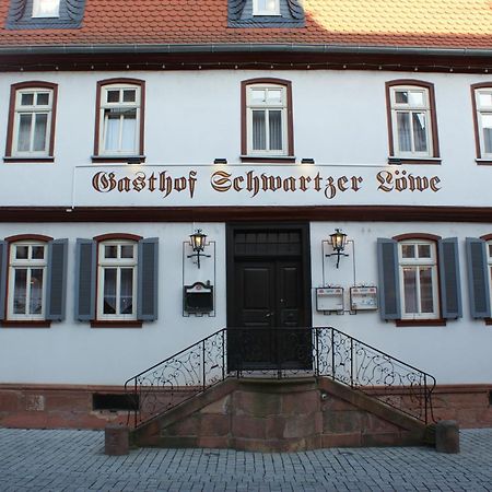Hotel Schwartzer Loewe Бабенхаузен Экстерьер фото