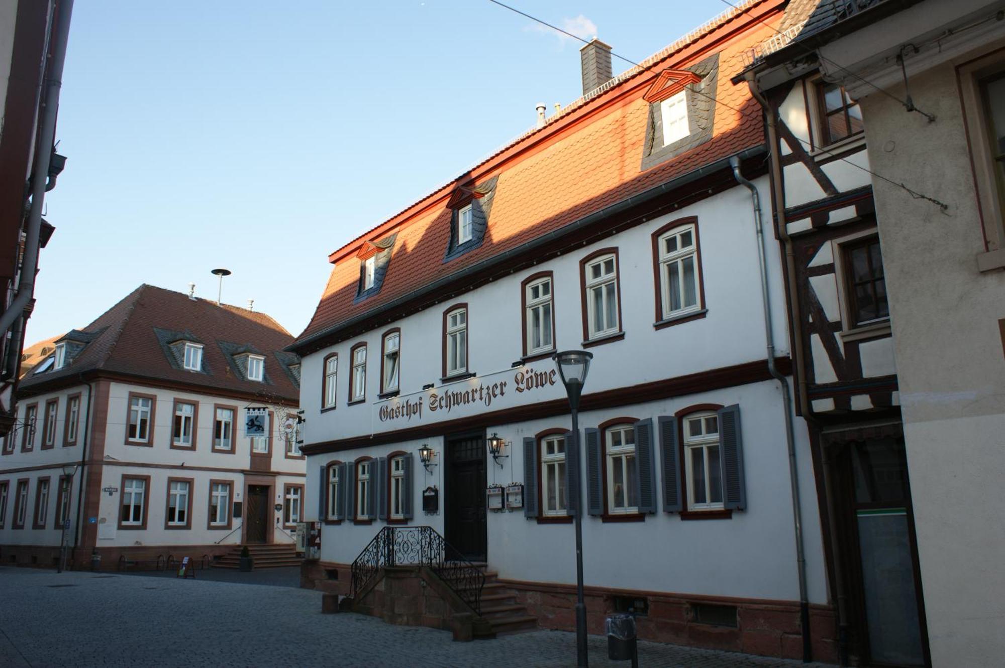 Hotel Schwartzer Loewe Бабенхаузен Экстерьер фото