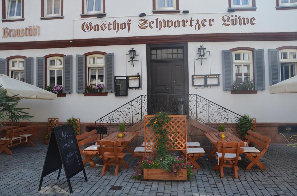 Hotel Schwartzer Loewe Бабенхаузен Экстерьер фото
