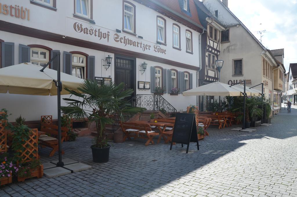Hotel Schwartzer Loewe Бабенхаузен Экстерьер фото